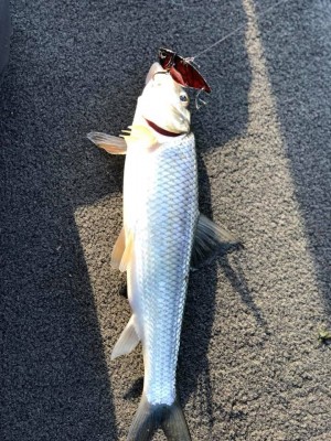 hideup 永野総一朗 ブログ写真 2019/01/13