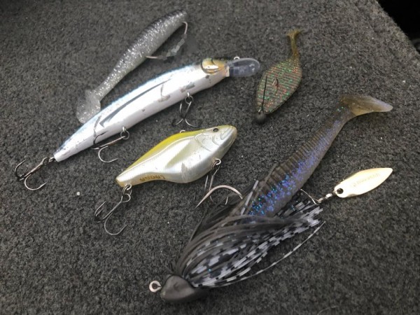 hideup 永野総一朗 ブログ写真 2019/01/13