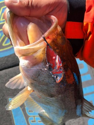 hideup 永野総一朗 ブログ写真 2019/01/13