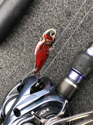 hideup 永野総一朗 ブログ写真 2019/01/15