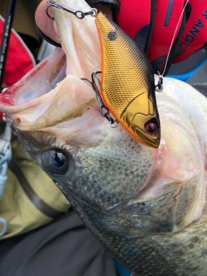 hideup 永野総一朗 ブログ写真 2019/02/05