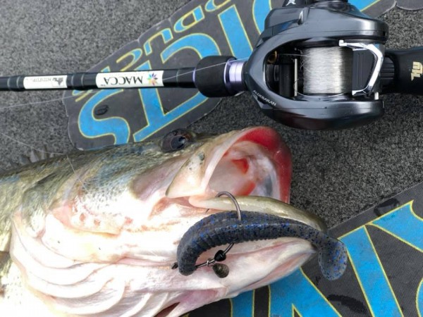 hideup 永野総一朗 ブログ写真 2019/02/05