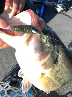 hideup 永野総一朗 ブログ写真 2019/02/05