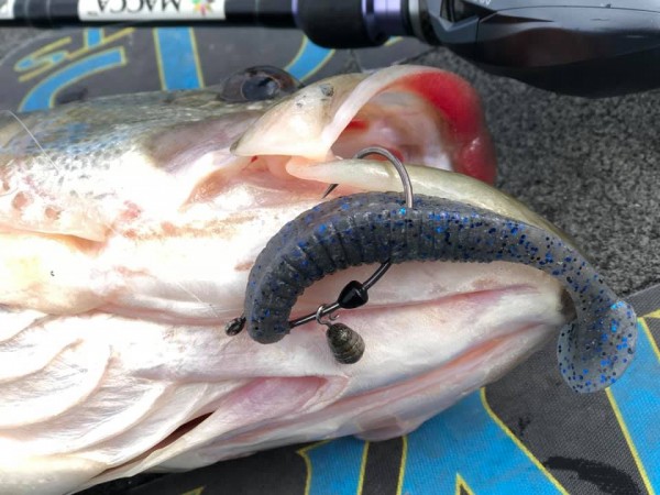 hideup 永野総一朗 ブログ写真 2019/02/05