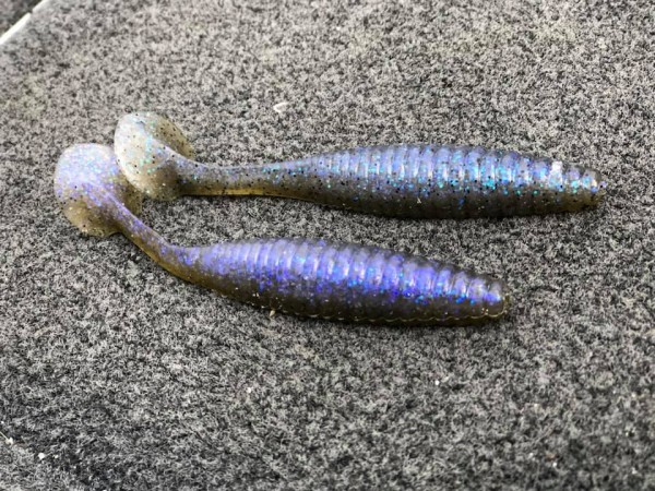 hideup 永野総一朗 ブログ写真 2019/02/10