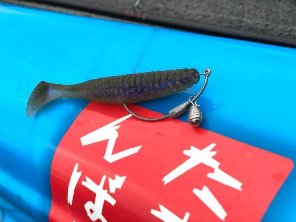 hideup 永野総一朗 ブログ写真 2019/02/10