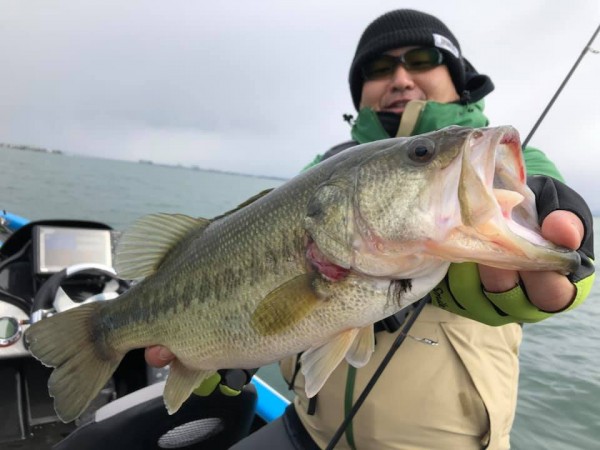 hideup 永野総一朗 ブログ写真 2019/02/10