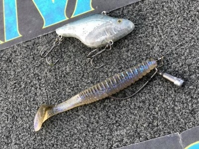 hideup 永野総一朗 ブログ写真 2019/02/13