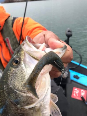 hideup 永野総一朗 ブログ写真 2019/03/01