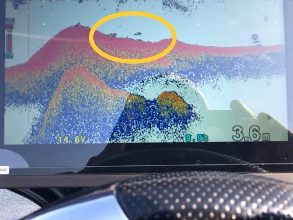 hideup 永野総一朗 ブログ写真 2019/03/03