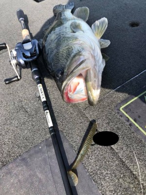 hideup 永野総一朗 ブログ写真 2019/03/03