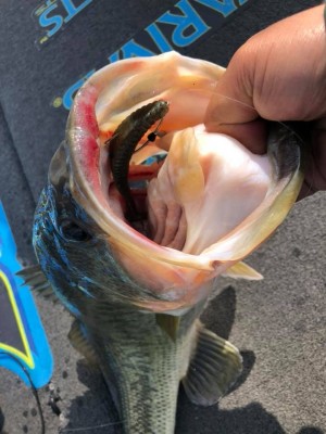 hideup 永野総一朗 ブログ写真 2019/03/03