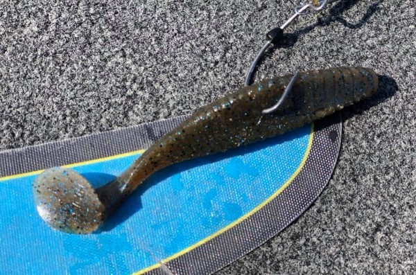 hideup 永野総一朗 ブログ写真 2019/03/03