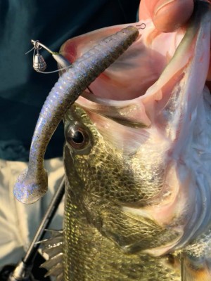 hideup 永野総一朗 ブログ写真 2019/03/03