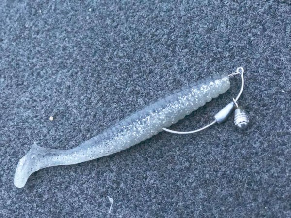 hideup 永野総一朗 ブログ写真 2019/03/04