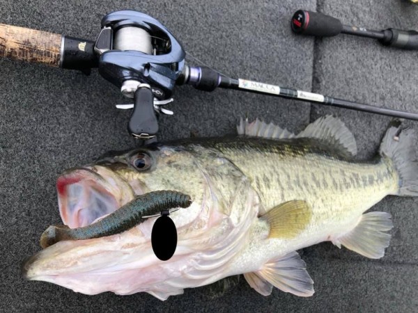 hideup 永野総一朗 ブログ写真 2019/03/04