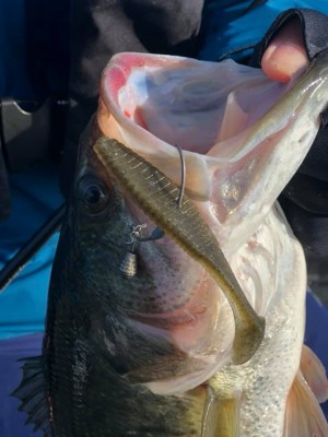 hideup 永野総一朗 ブログ写真 2019/03/06