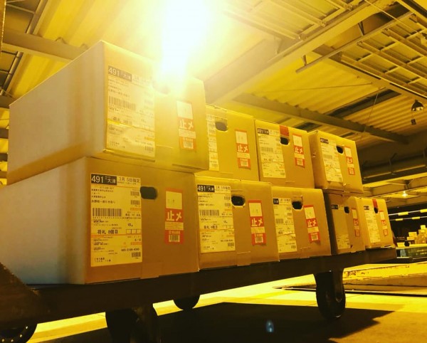 hideup 永野総一朗 ブログ写真 2019/03/06