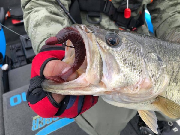 hideup 永野総一朗 ブログ写真 2019/03/06