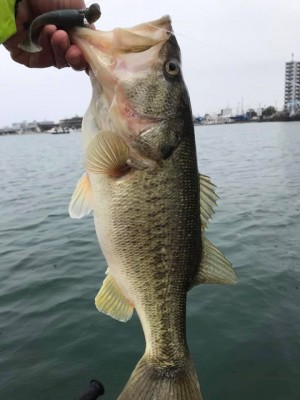 hideup 永野総一朗 ブログ写真 2019/03/12