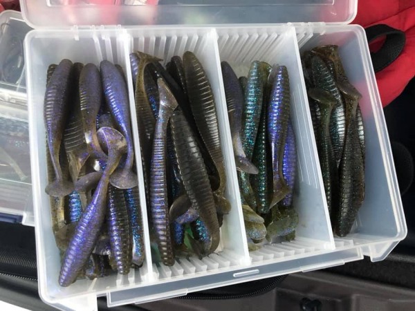 hideup 永野総一朗 ブログ写真 2019/03/13