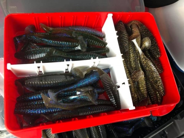 hideup 永野総一朗 ブログ写真 2019/03/13