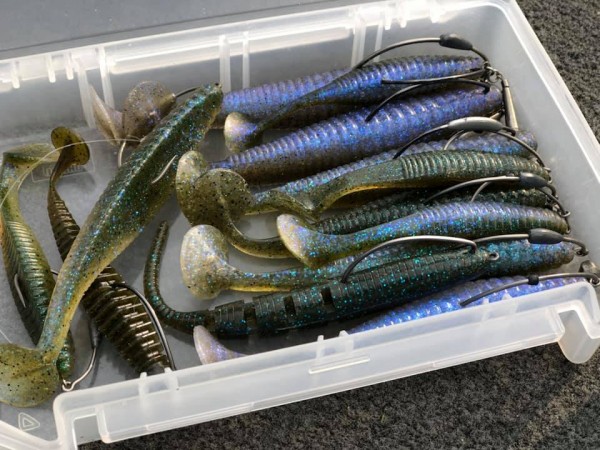 hideup 永野総一朗 ブログ写真 2019/03/13