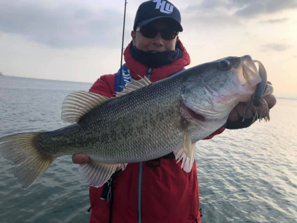 hideup 永野総一朗 ブログ写真 2019/03/13