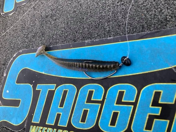 hideup 永野総一朗 ブログ写真 2019/03/13