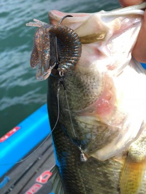 hideup 永野総一朗 ブログ写真 2019/03/15