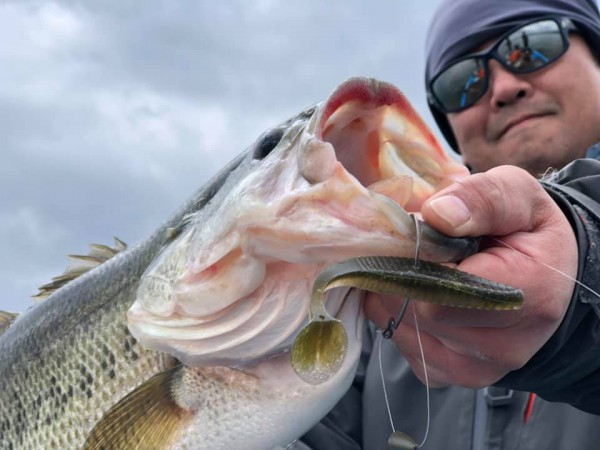 hideup 永野総一朗 ブログ写真 2019/03/15