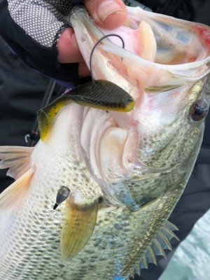 hideup 永野総一朗 ブログ写真 2019/03/15