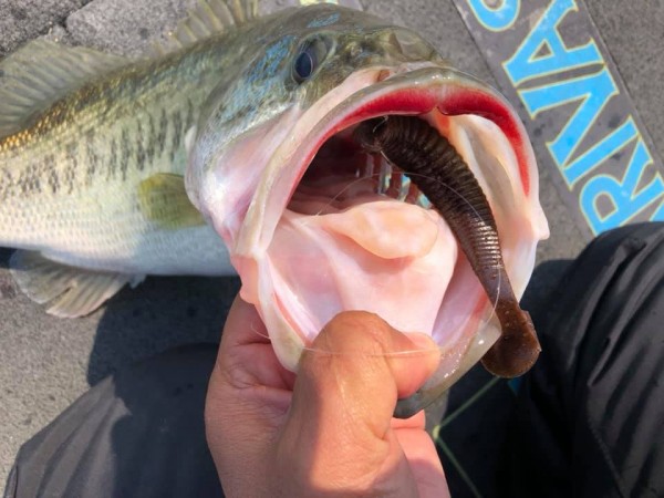 hideup 永野総一朗 ブログ写真 2019/03/16