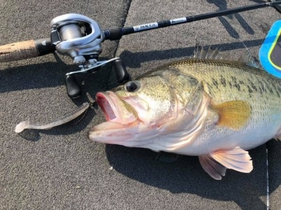 hideup 永野総一朗 ブログ写真 2019/03/16