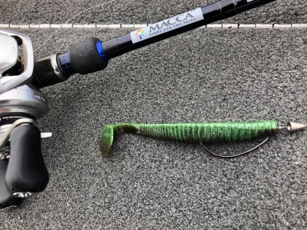 hideup 永野総一朗 ブログ写真 2019/03/20