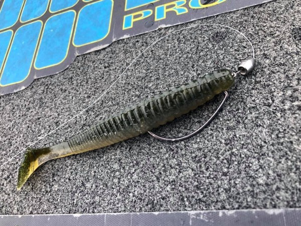 hideup 永野総一朗 ブログ写真 2019/03/20