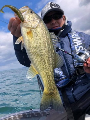 hideup 永野総一朗 ブログ写真 2019/03/20