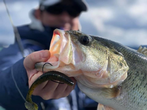 hideup 永野総一朗 ブログ写真 2019/03/20