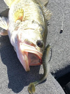 hideup 永野総一朗 ブログ写真 2019/03/21