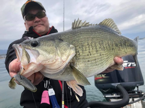 hideup 永野総一朗 ブログ写真 2019/03/22