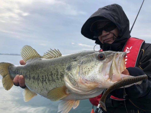 hideup 永野総一朗 ブログ写真 2019/03/22