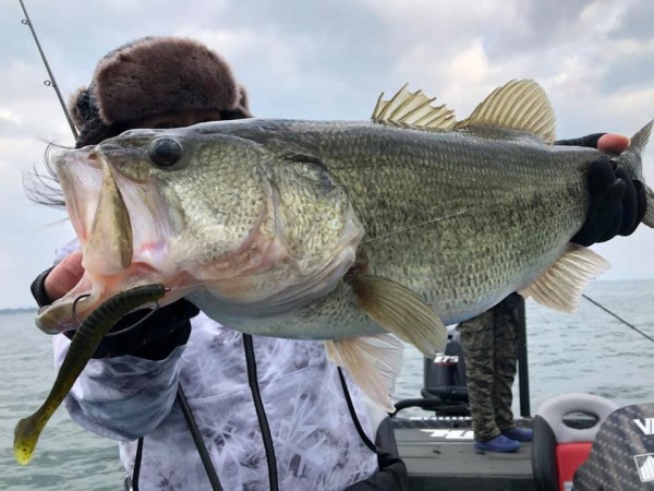 hideup 永野総一朗 ブログ写真 2019/03/23