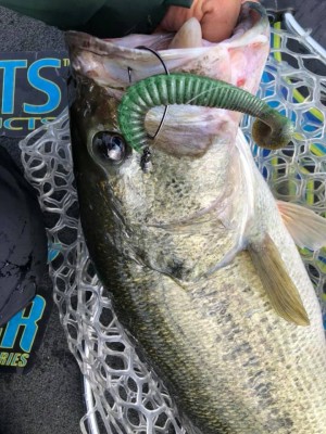 hideup 永野総一朗 ブログ写真 2019/03/23