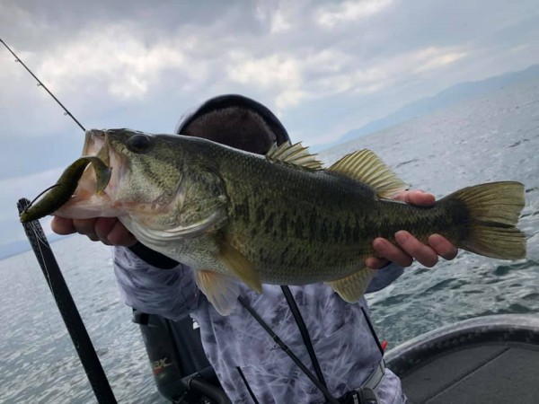 hideup 永野総一朗 ブログ写真 2019/03/23