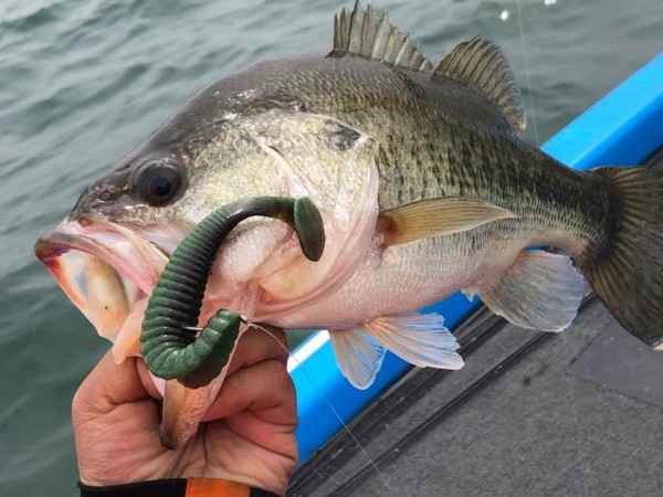 hideup 永野総一朗 ブログ写真 2019/03/26