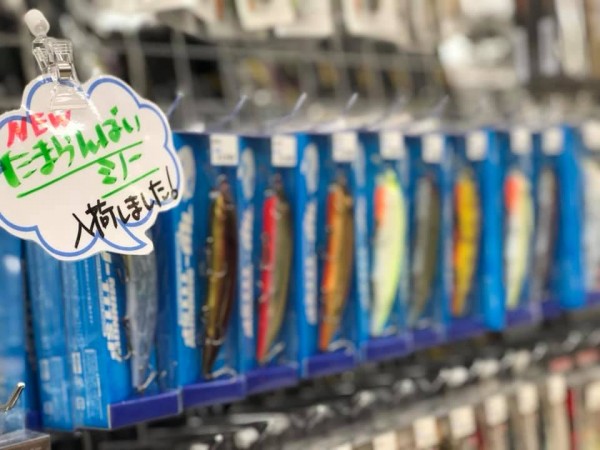 hideup 永野総一朗 ブログ写真 2019/03/29