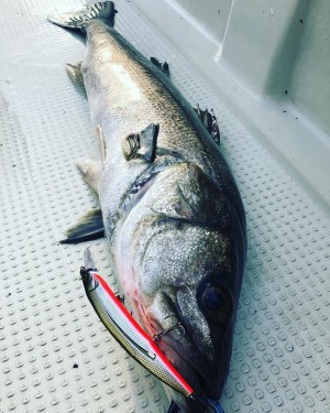 hideup 永野総一朗 ブログ写真 2019/04/02