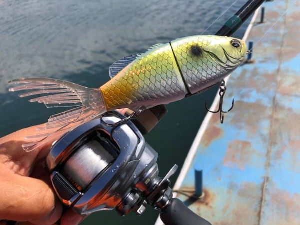 hideup 永野総一朗 ブログ写真 2019/04/02