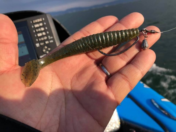 hideup 永野総一朗 ブログ写真 2019/04/02