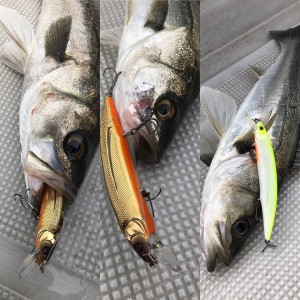 hideup 永野総一朗 ブログ写真 2019/04/02